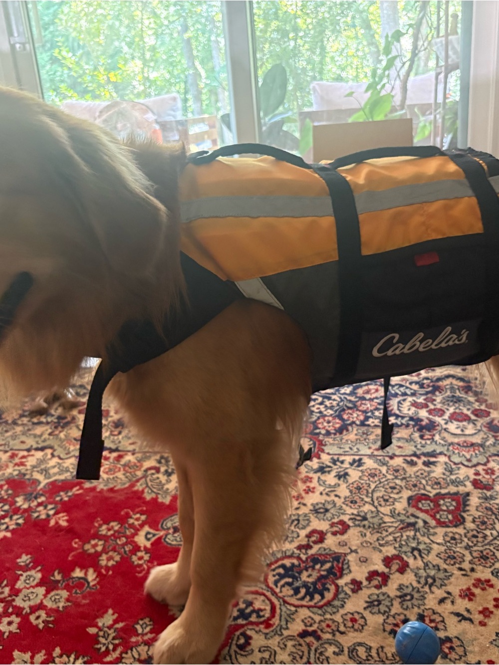 Cabela's Orange and Black High-Visibility Safety Vest for dogs - Picture 5 of 5
